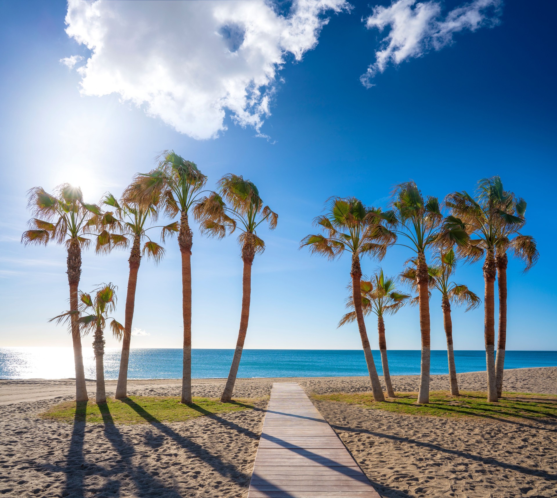 Holiday Rental Apartments